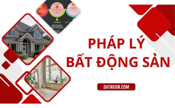Ảnh khóa học bất động sản
